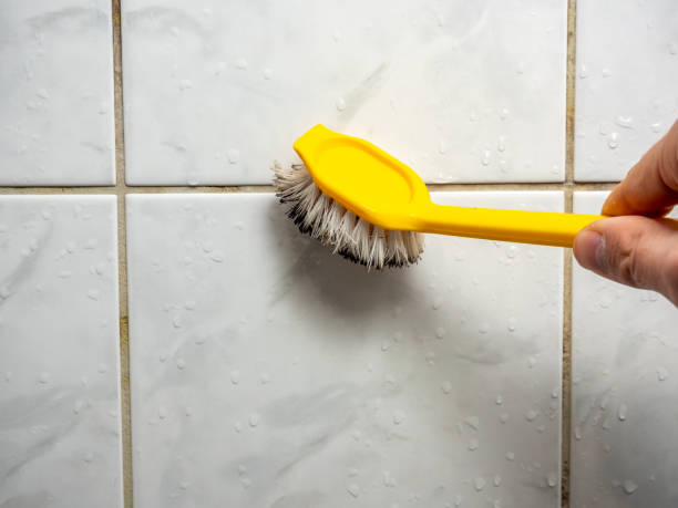 Best Local Mold Removal Service  in Dunstan, ME