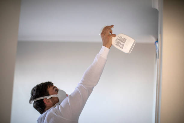 Best Attic Mold Removal  in Dunstan, ME