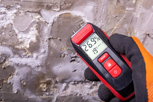 Best Fast Mold Removal  in Dunstan, ME