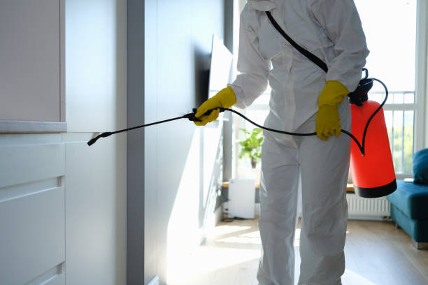 Mold Testing and Removal in Dunstan, ME